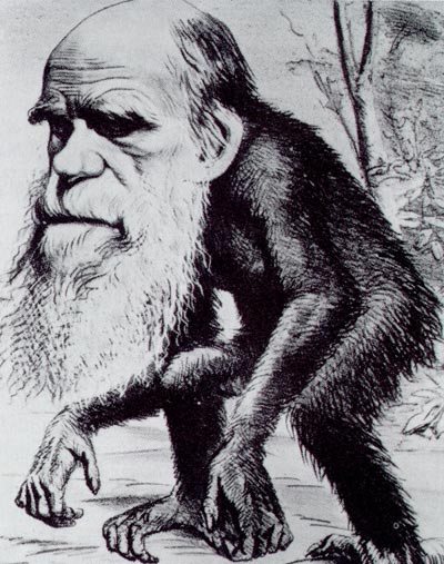 Dr. Charles Darwin and the Survival of the Fittest